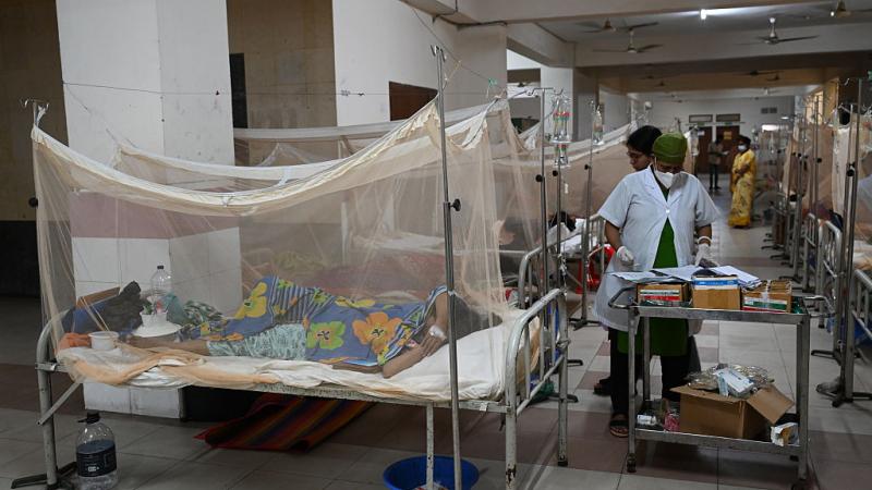 Pakistan's southern Sindh reports 3 new dengue deaths as cases surge