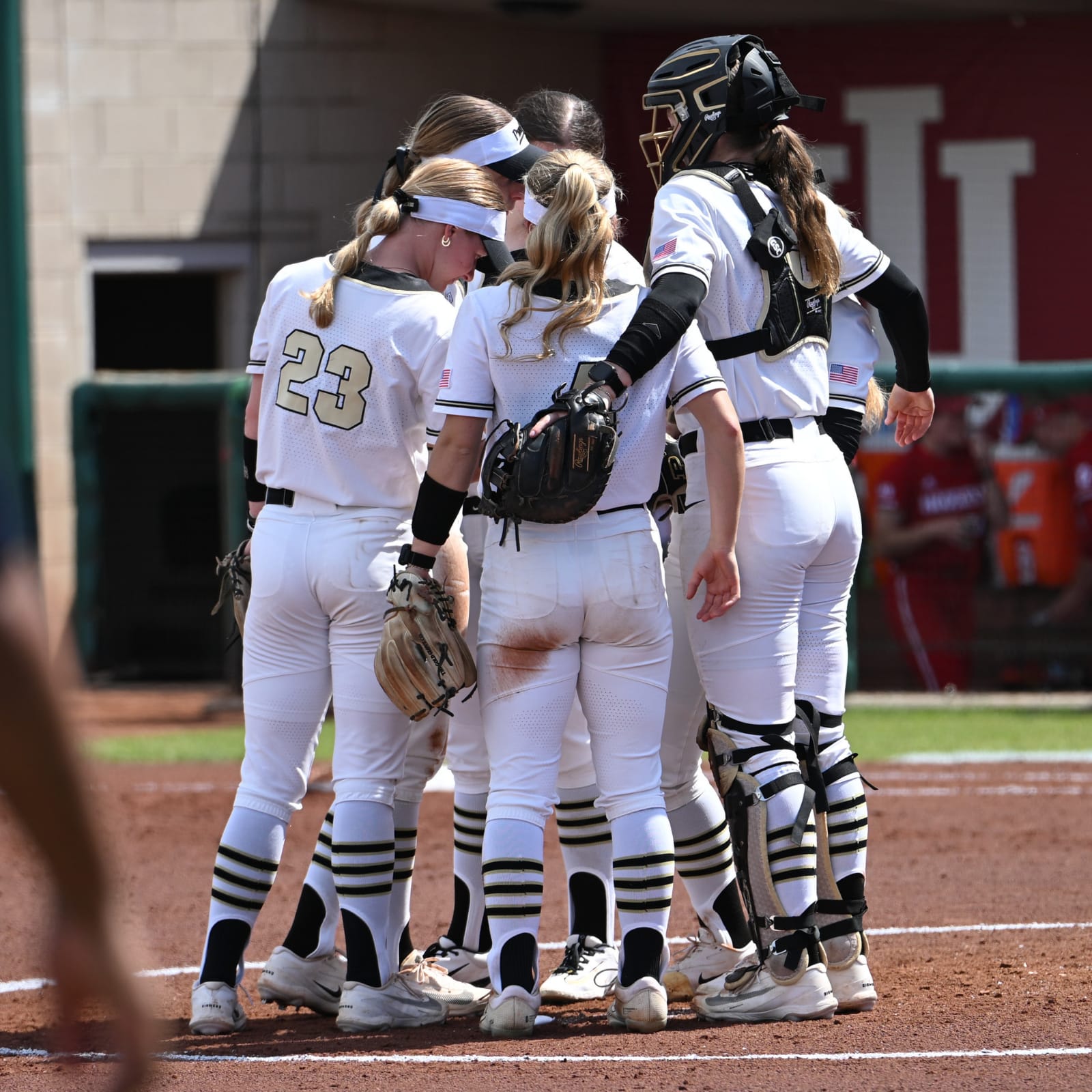 WBSC announces host stadium for softball LA28 qualifier in Australia