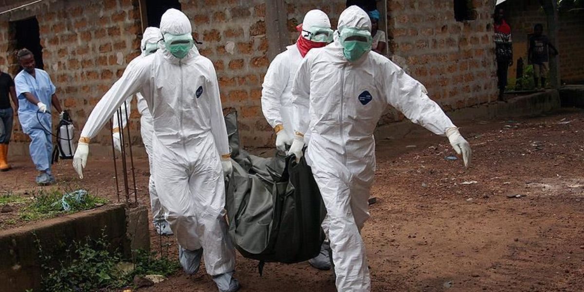Rift Valley fever death toll rises to 11 in Senegal
