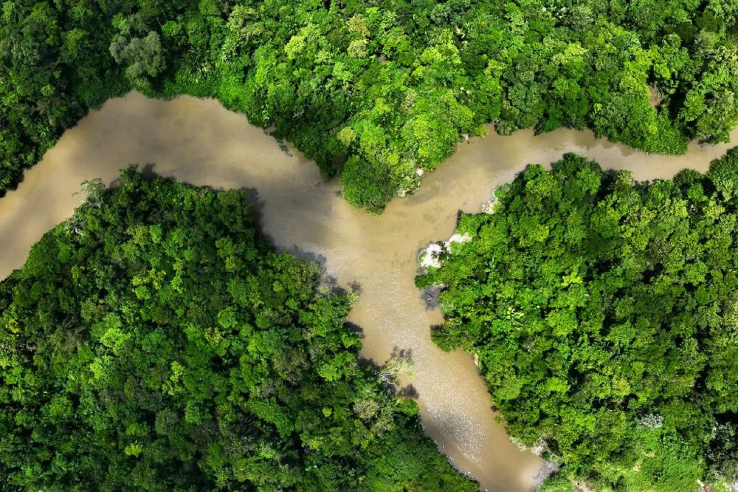 Brazil’s Natural Areas Shrink, Worsening El Nino Impact