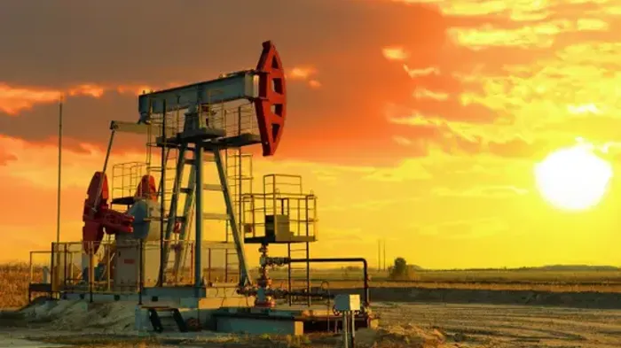 OPEC+ to suspend oil output increase