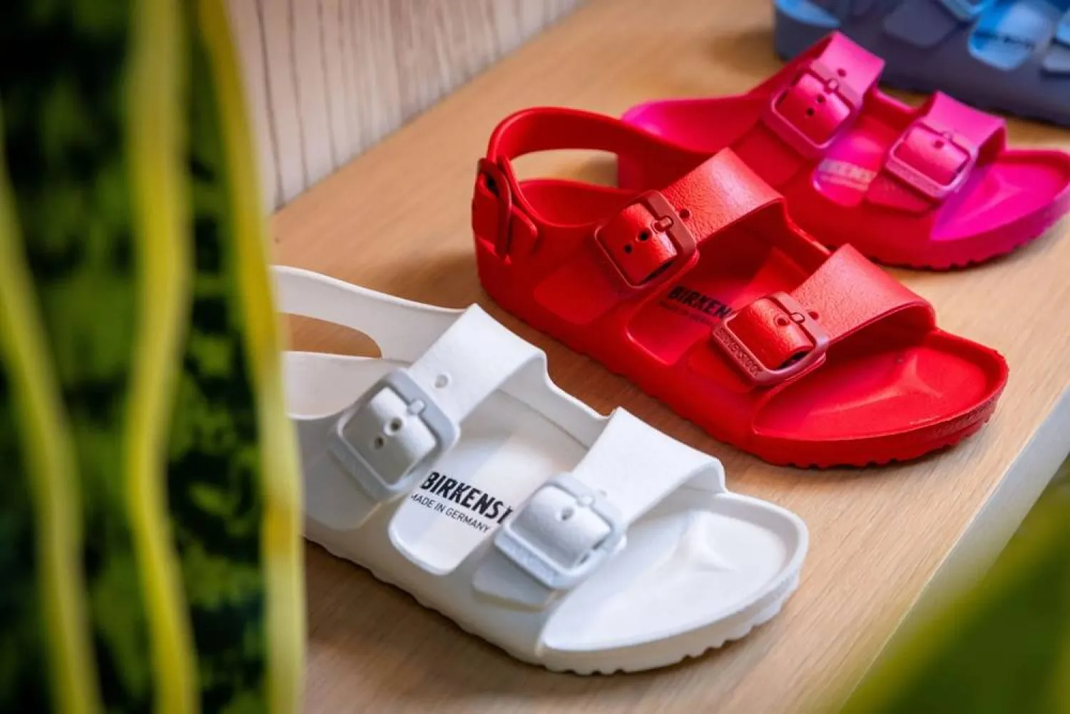 Birkenstock Raises Annual Revenue Forecast on Strong Demand