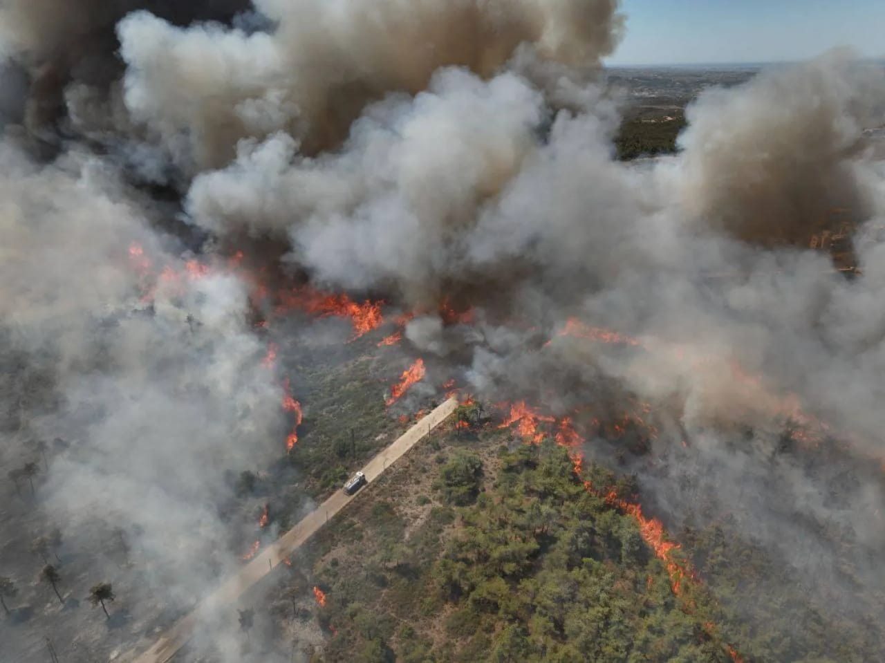 Wildfires in Syria's Latakia affect nearly 2,000 families