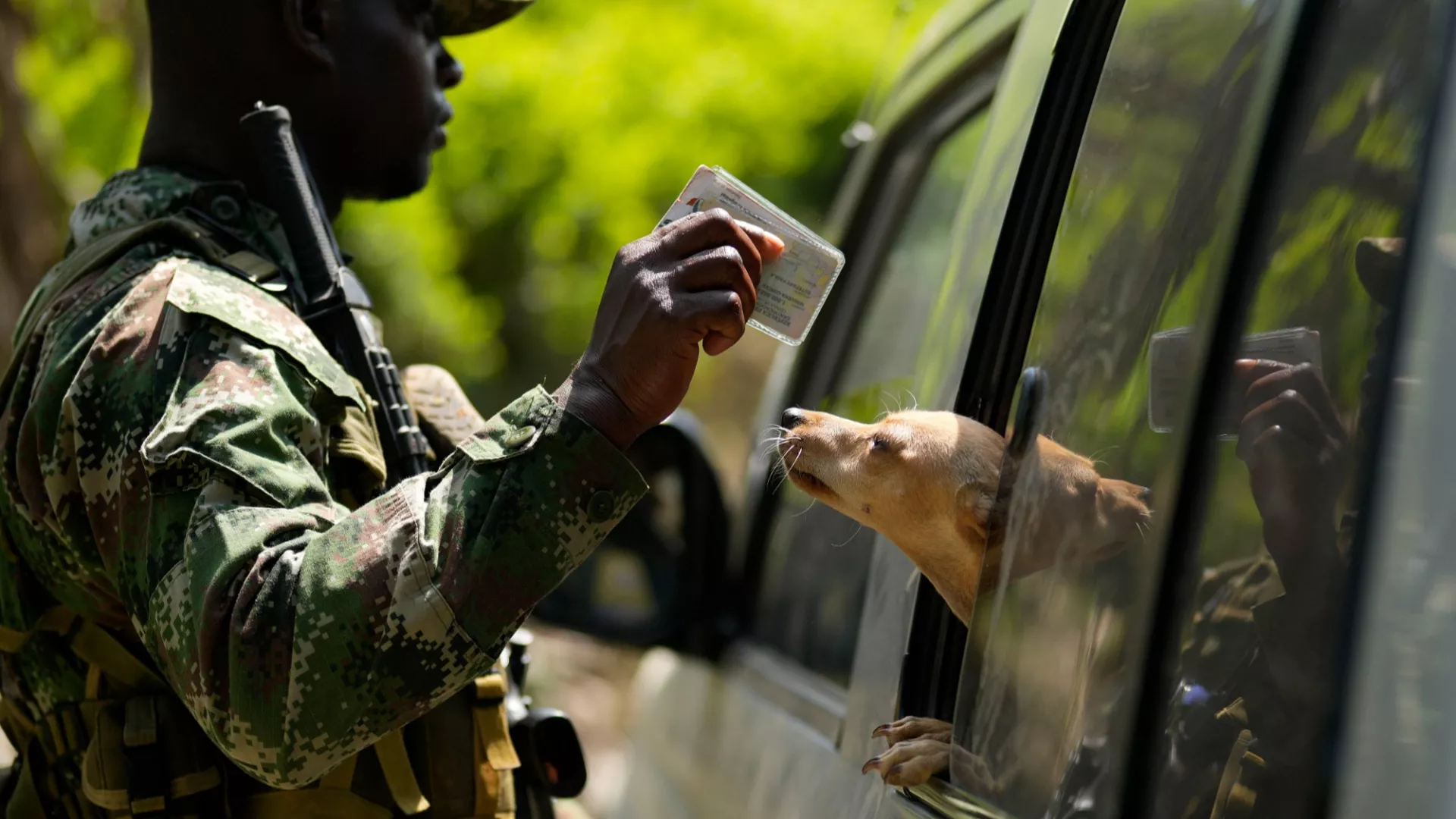 Colombia's president reveals initiative to replace coca with other crops