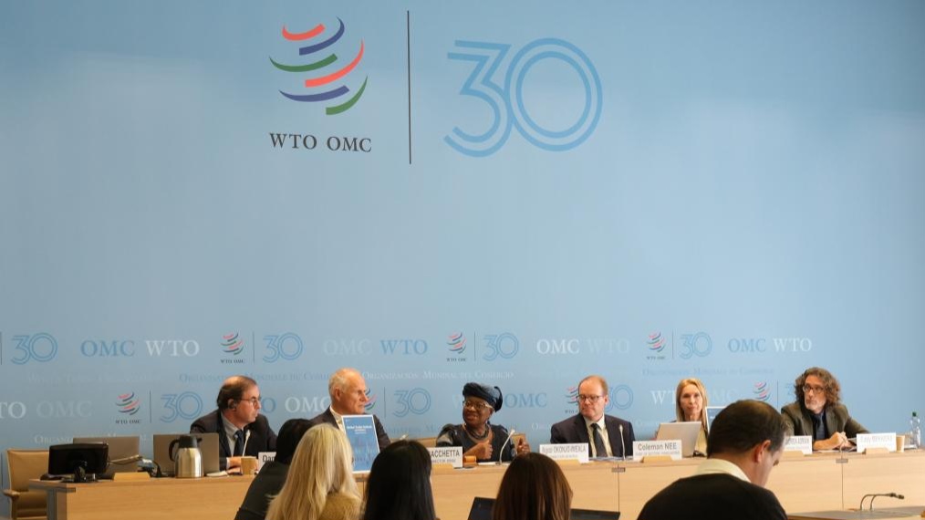 WTO raises 2025 global trade growth forecast to 2.4 pct