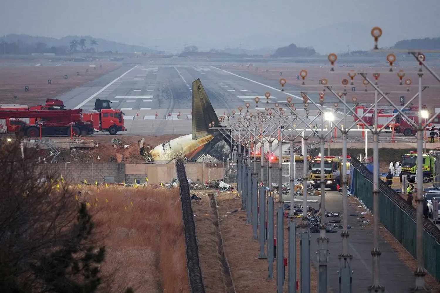 South Korean Plane Crash Report Says Bird Remains Were Found in Engines, but No Cause Yet Revealed 