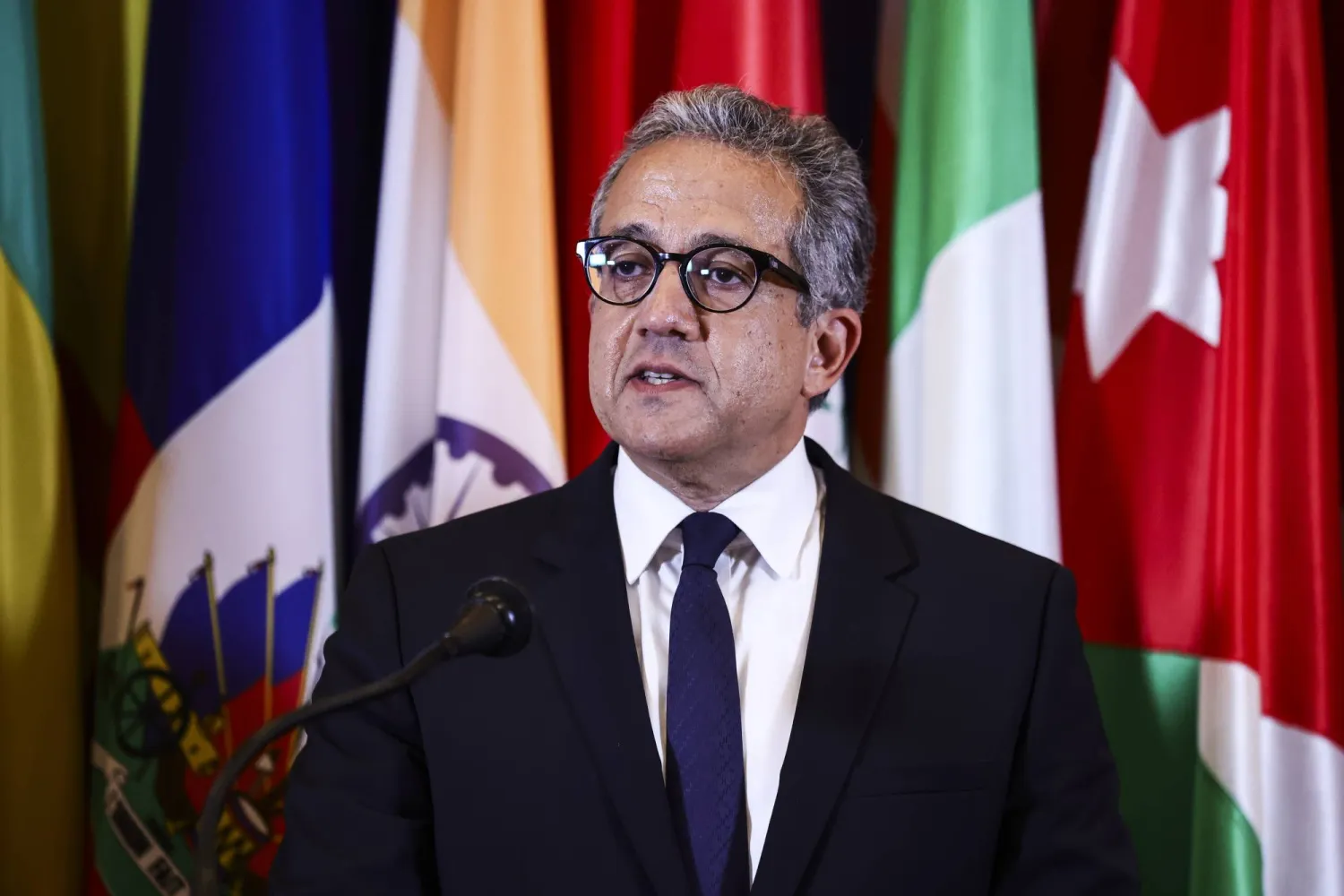 UNESCO Nominates Egypt’s Khaled el-Anani as its New Director