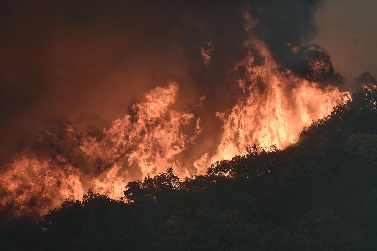 2 found dead in forest fire in central Vietnam