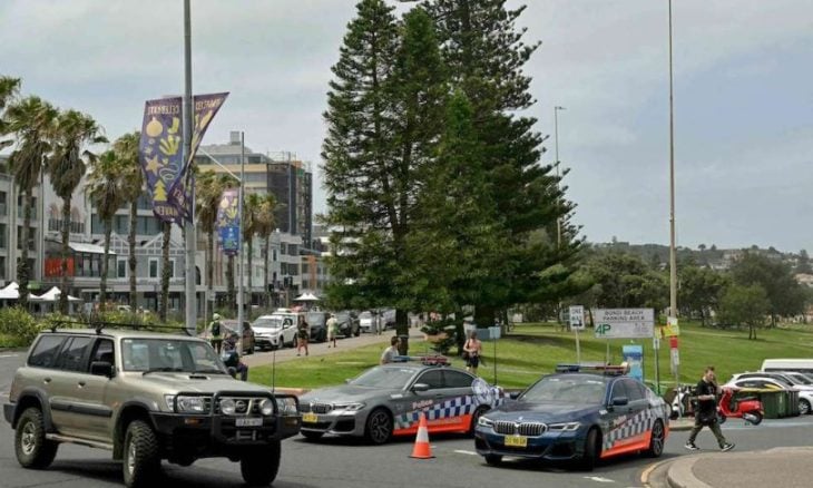 2 dead in head-on collision south of Sydney