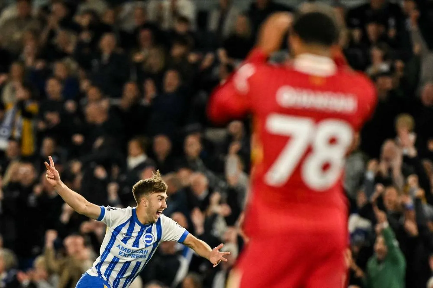 My Perfect Cousin, Hinshelwood and Howell Help Brighton Down Liverpool 