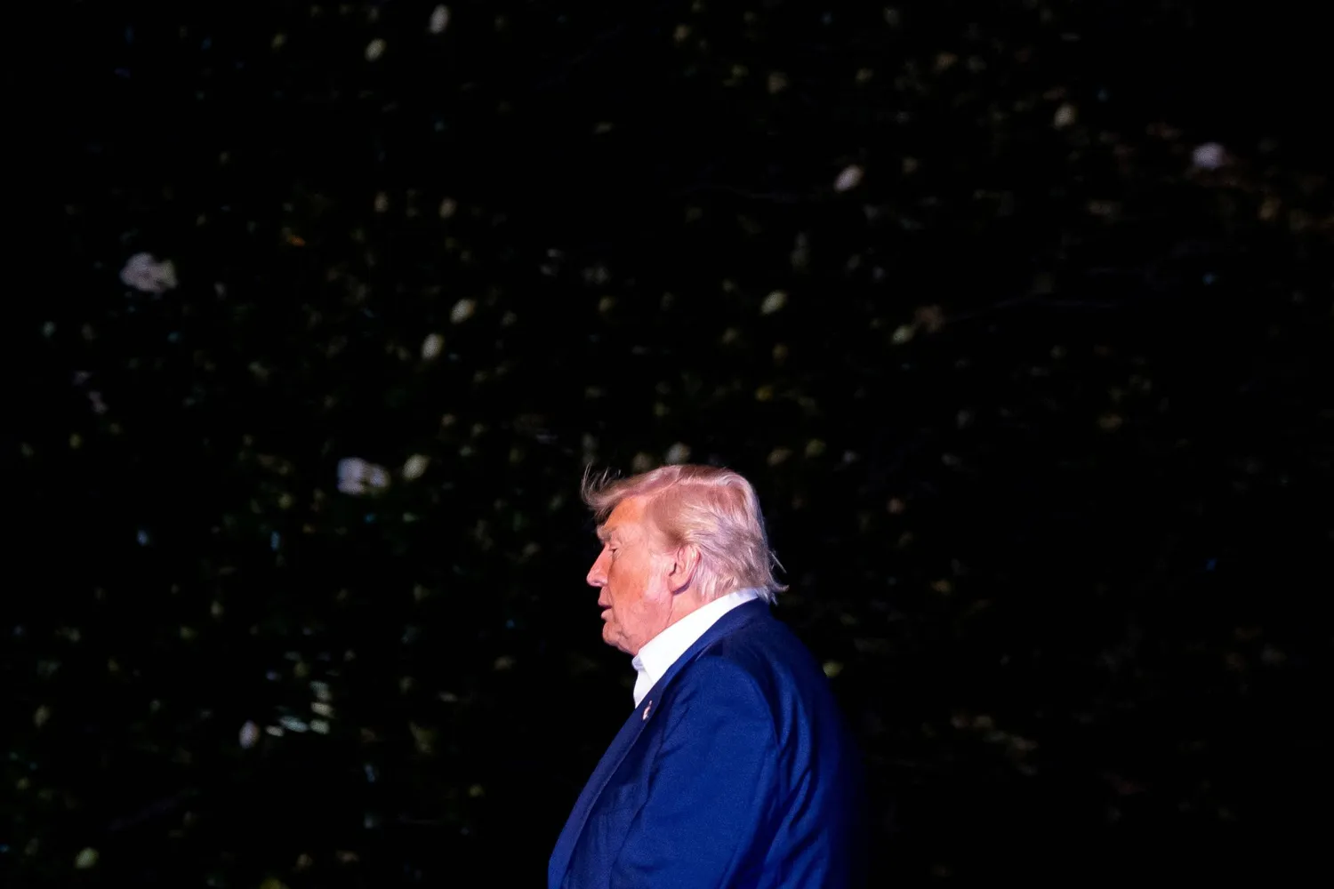 Trump Pushes US Federal Reserve for Rate Cuts, Criticizes Powell