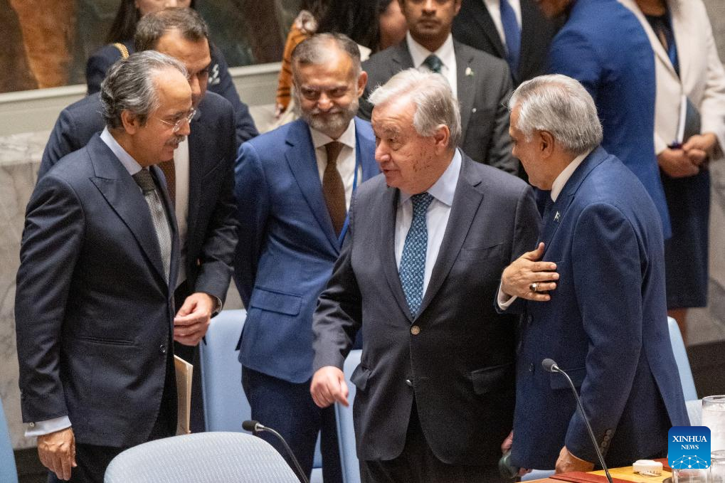 UN chief asks Security Council members to overcome divisions