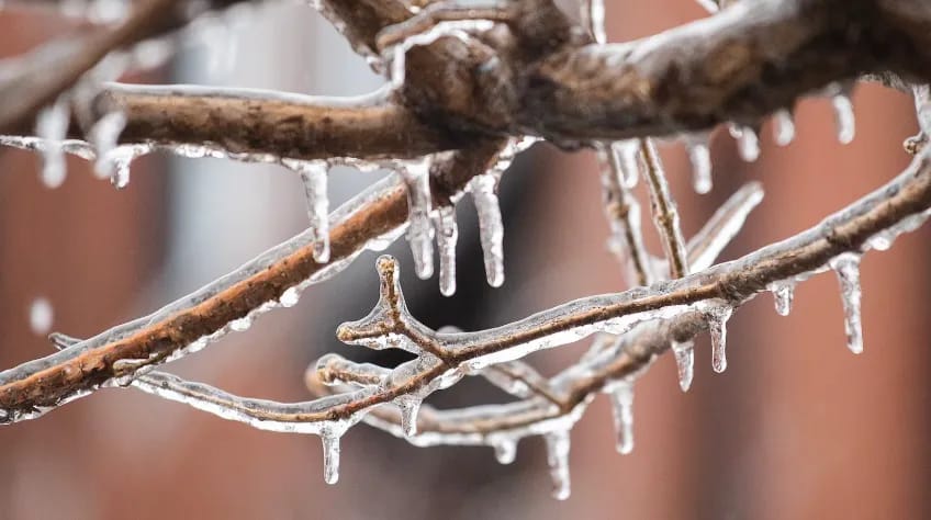 Freezing rain in Latvia triggers surge in injuries, travel disruption