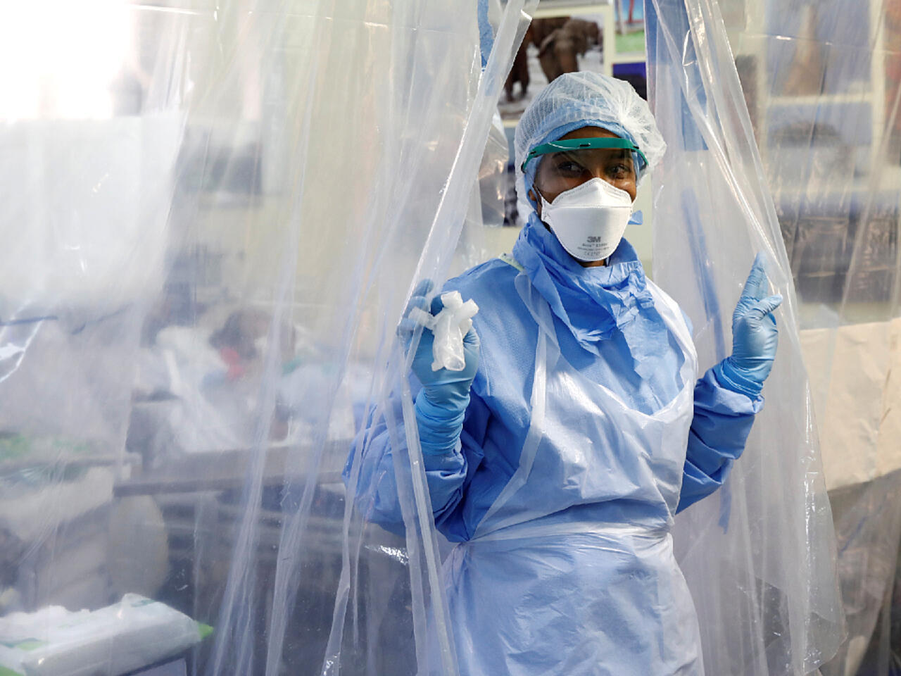 Türkiye rolls out quarantine measures following foot-and-mouth disease outbreak