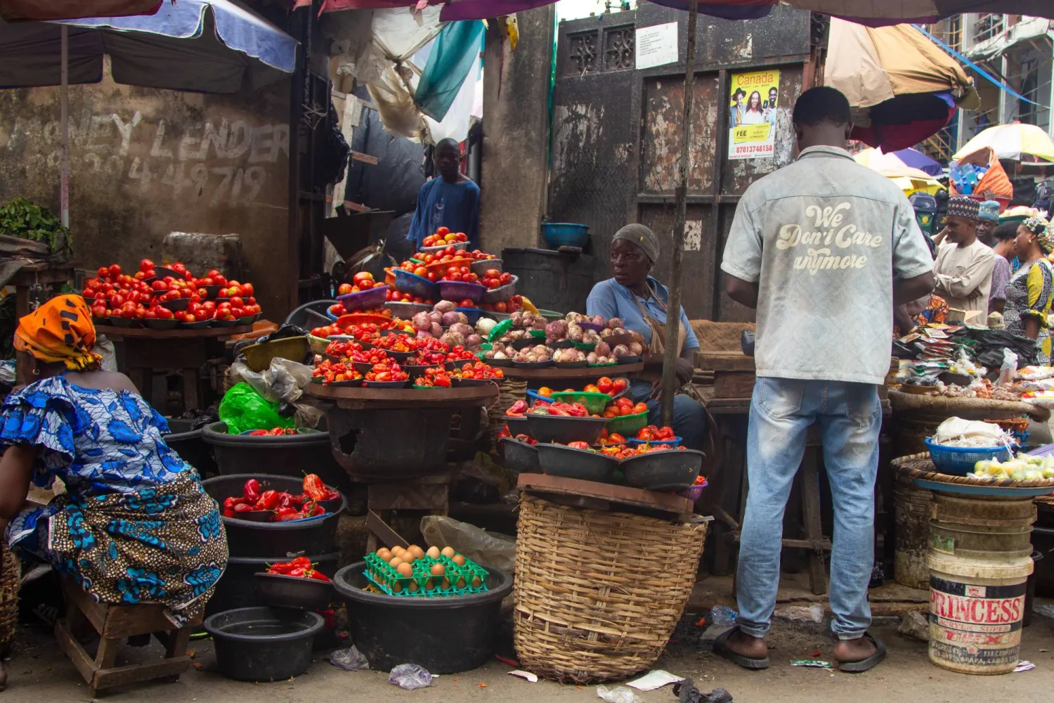 World Food Commodity Prices Fall in January