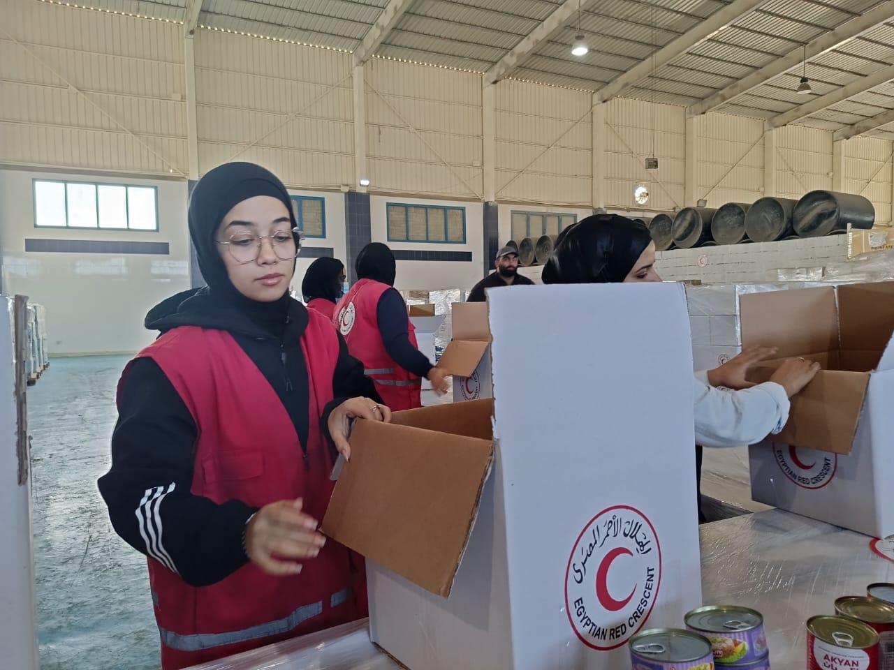 GHF-run aid distribution points major source of wounded at Gaza hospital: WHO official