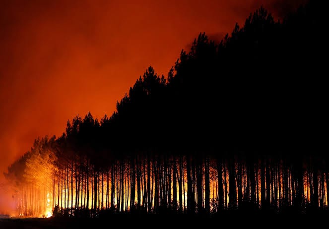 Over 220,000 evacuated in southwestern France as raging wildfires spread